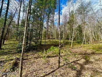 144 Gunter Place Rd #2, Sunbright, TN 37872