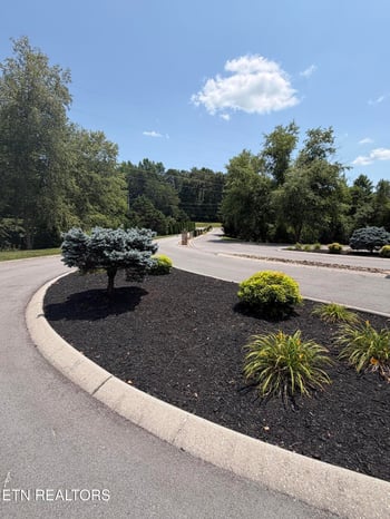 144 Red Wing Dr, Vonore, TN 37885
