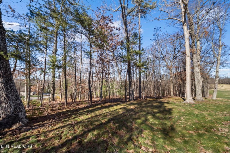 144 Valarian Dr, Fairfield Glade, TN 38558