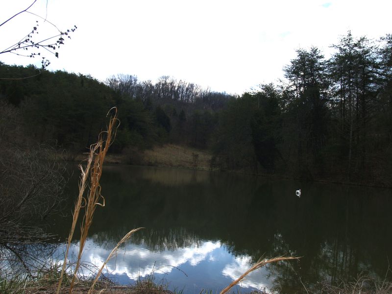 1440 A R Davis Rd, Seymour, TN 37865