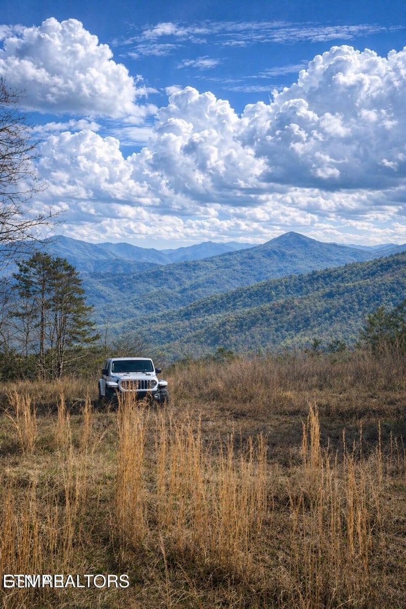 1440 Goose Gap Rd, Sevierville, TN 37876