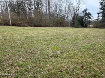 1442 Rome Rd, Lancing, TN 37770