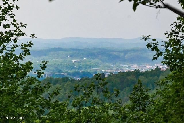 1444 Indian Ct, Sevierville, TN 37876