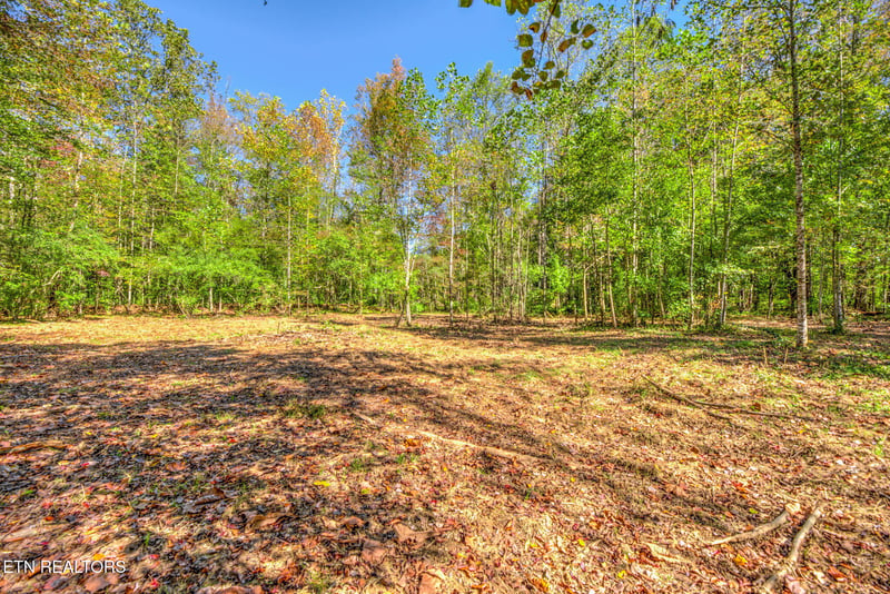 1446 Cove Ln, Oliver Springs, TN 37840