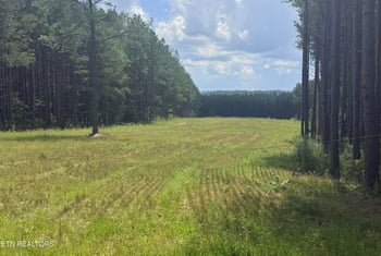 145 Black Bear Ln, Sunbright, TN 37872
