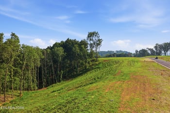 145 Canopy Trail Ln, Loudon, TN 37774