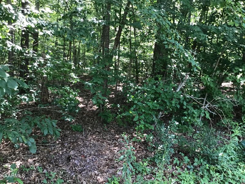 145 Dalefield Loop, Fairfield Glade, TN 38558