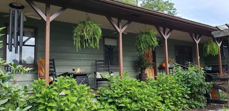 145 Gordon Ln, Tellico Plains, TN 37385