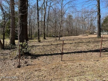 145 Liles Ln, Rocky Top, TN 37769