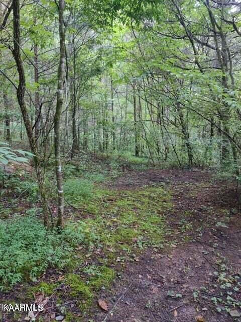 145 Westwing Cave Rd, Townsend, TN 37882