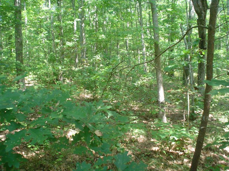 146 Berkshire Loop, Fairfield Glade, TN 38558