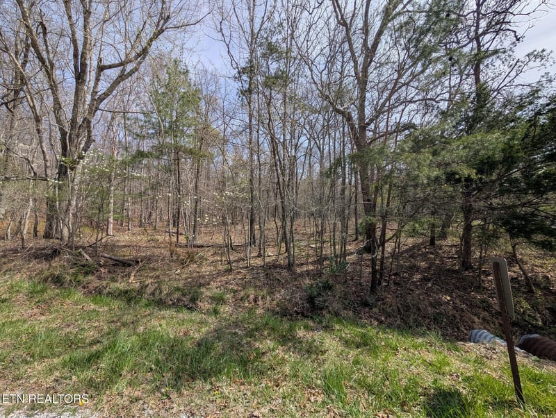 146 Darwin Ln, Crossville, TN 38558
