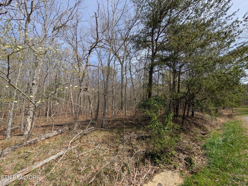 146 Darwin Ln, Crossville, TN 38558