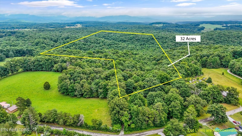 146 Harkle Rd, Lancing, TN 37770