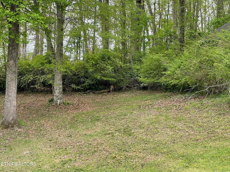 146 Oak Rd, Norris, TN 37828