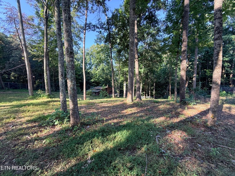 1465 Hickory Star Rd, Maynardville, TN 37807