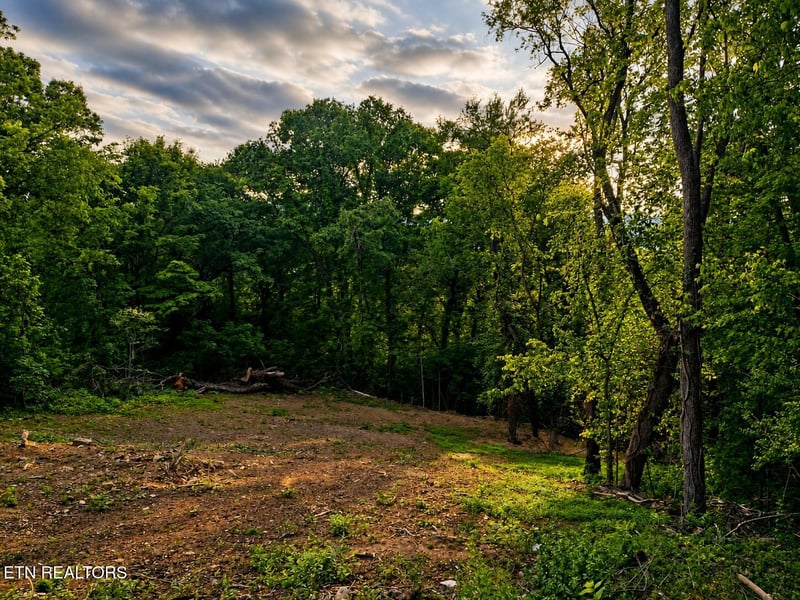 147 Stephens Rd, Rocky Top, TN 37769