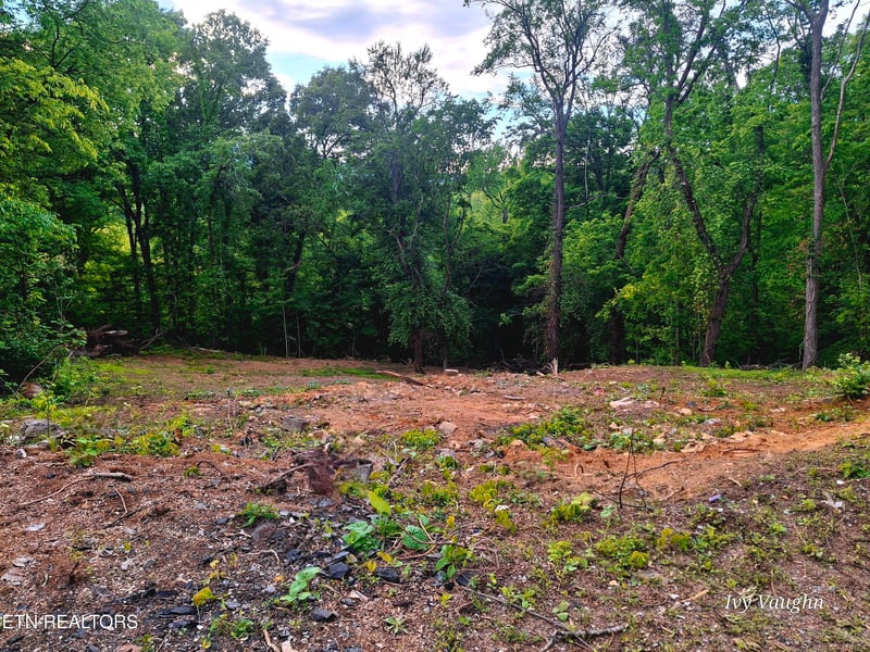 147 Stephens Rd, Rocky Top, TN 37769