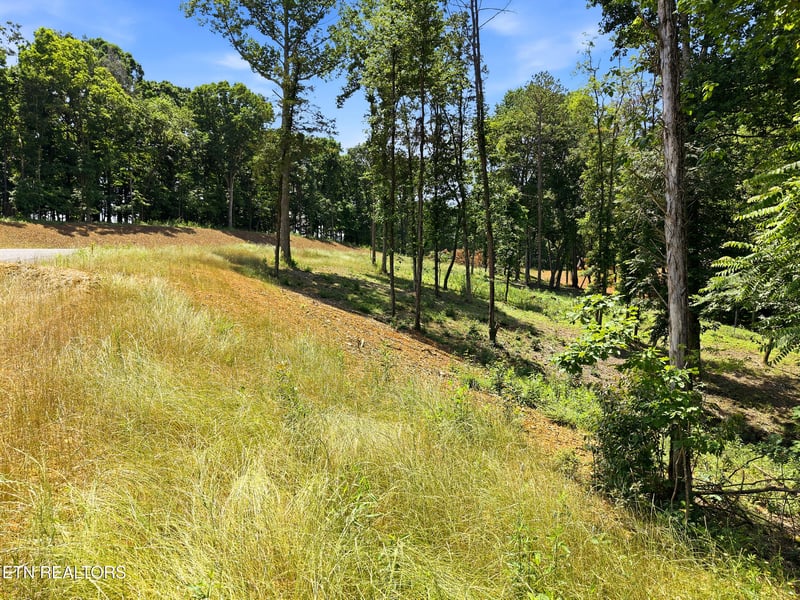 147 Summit View Dr, Loudon, TN 37774