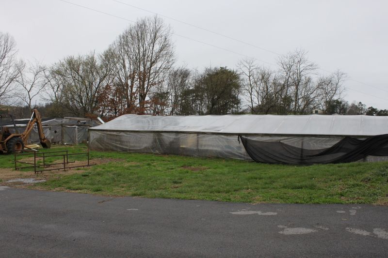 1472 Hodgetown Rd, Rutledge, TN 37861