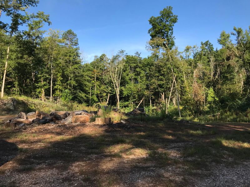 1475 Rhea Rd, Knoxville, TN 37920