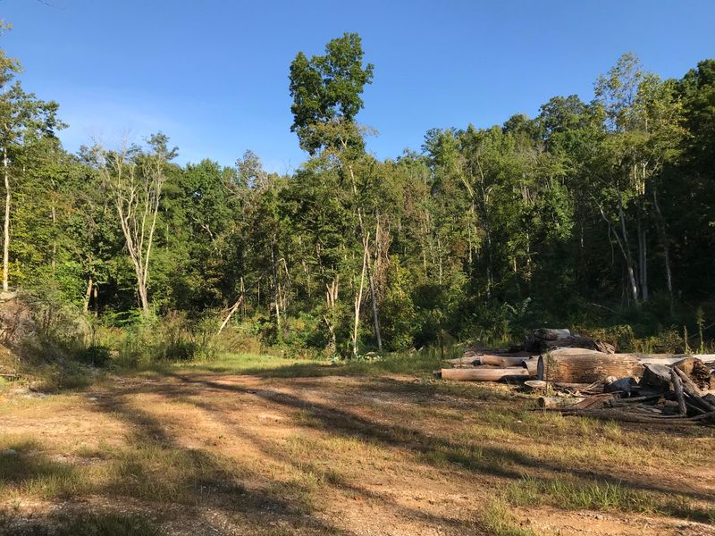 1475 Rhea Rd, Knoxville, TN 37920