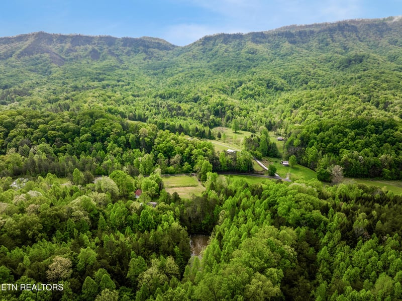 1478 Old Chilhowee Rd, Seymour, TN 37865