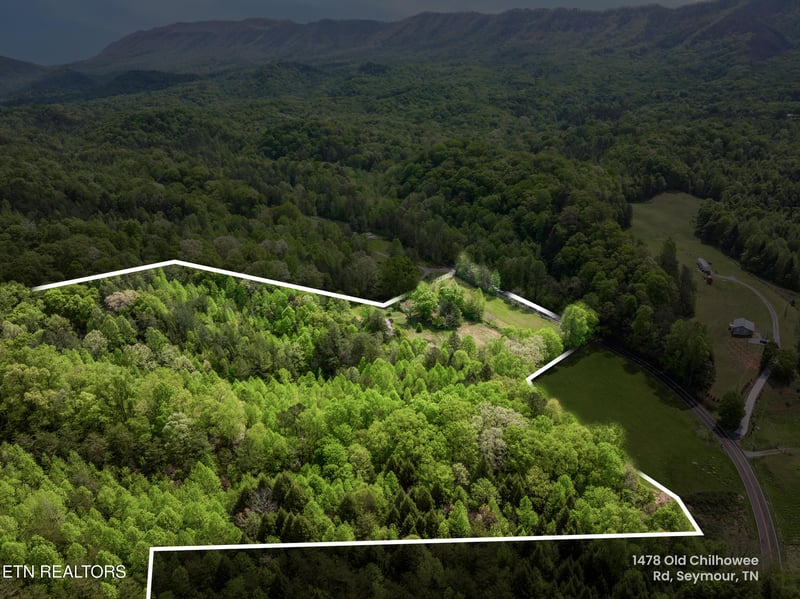 1478 Old Chilhowee Rd, Seymour, TN 37865