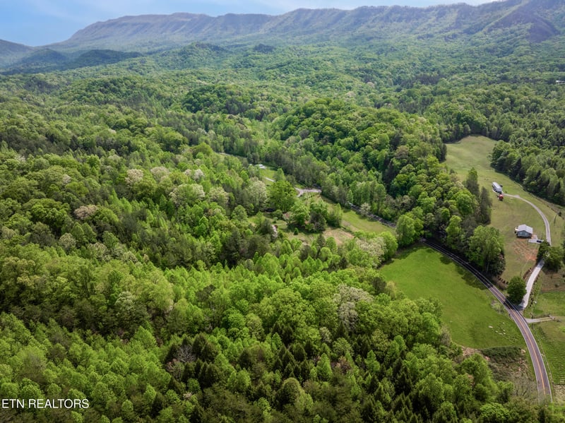 1478 Old Chilhowee Rd, Seymour, TN 37865