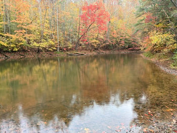 1478 Old Chilhowee Rd, Seymour, TN 37865