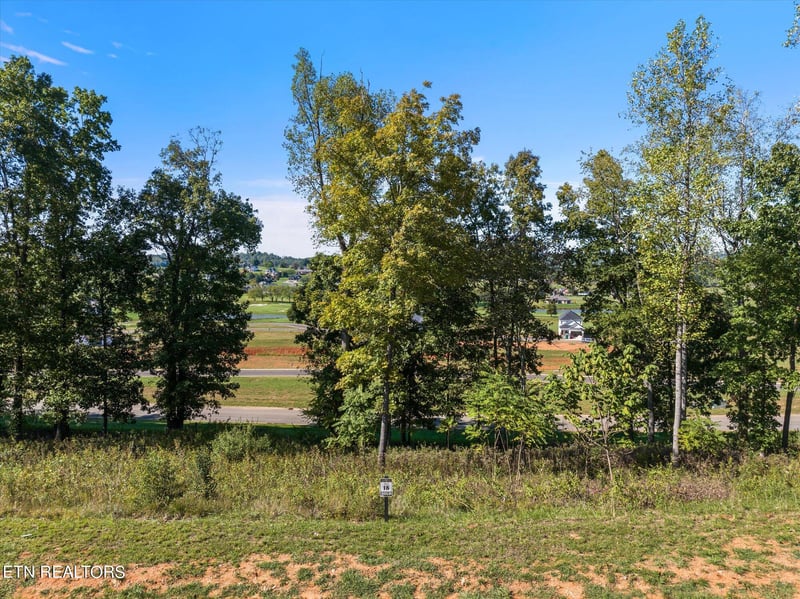 1479 Black Cove Ln, Loudon, TN 37774
