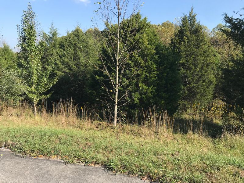 148 Nunya Trl, Vonore, TN 37885