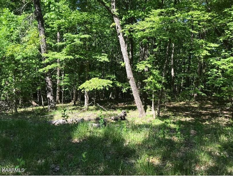 148 Springdale Dr, Fairfield Glade, TN 38558