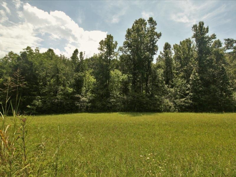 1484 Reagan Valley Rd, Tellico Plains, TN 37385