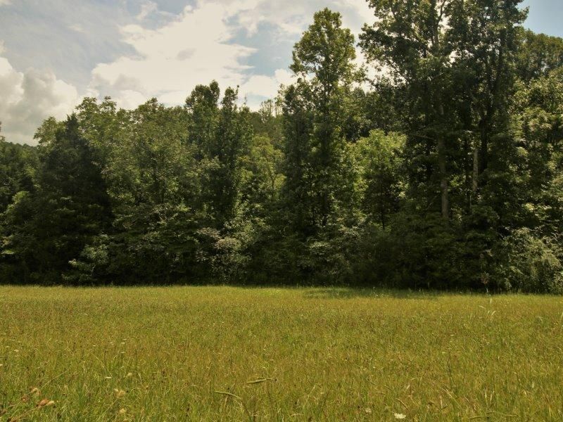 1484 Reagan Valley Rd, Tellico Plains, TN 37385