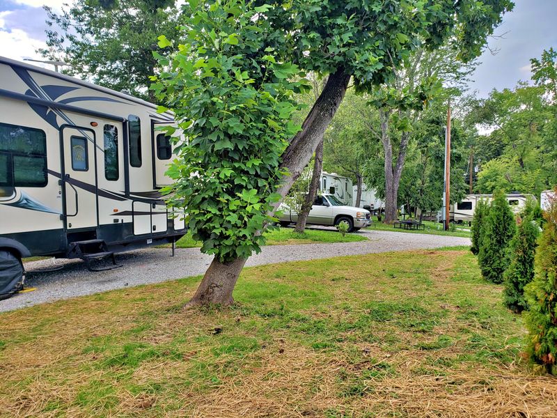 149 Bayside Dr, Ten Mile, TN 37880