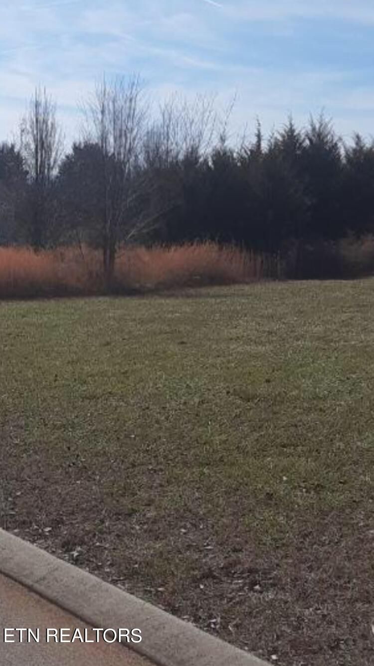 149 Cold Creek Rd, Madisonville, TN 37354