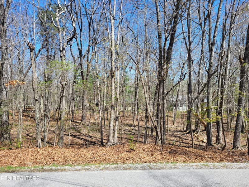 149 Highgate Dr, Crossville, TN 38558
