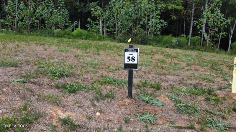 149 Lake Life Way, Loudon, TN 37774
