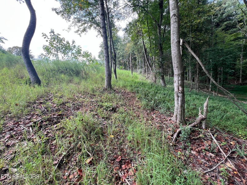 149 Lake Life Way, Loudon, TN 37774