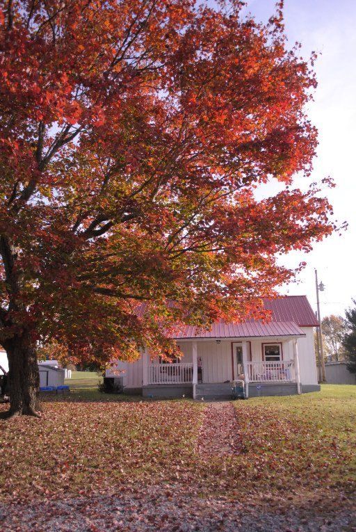 1496 Cunningham Rd, Seymour, TN 37865