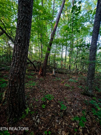 15 Austin Dr, Monterey, TN 38574