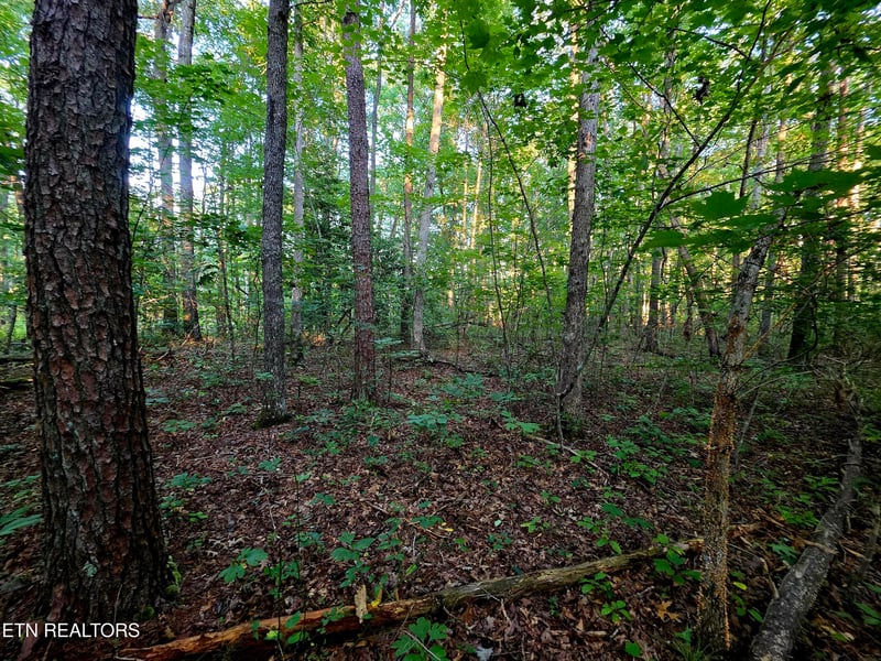 15 Austin Dr, Monterey, TN 38574