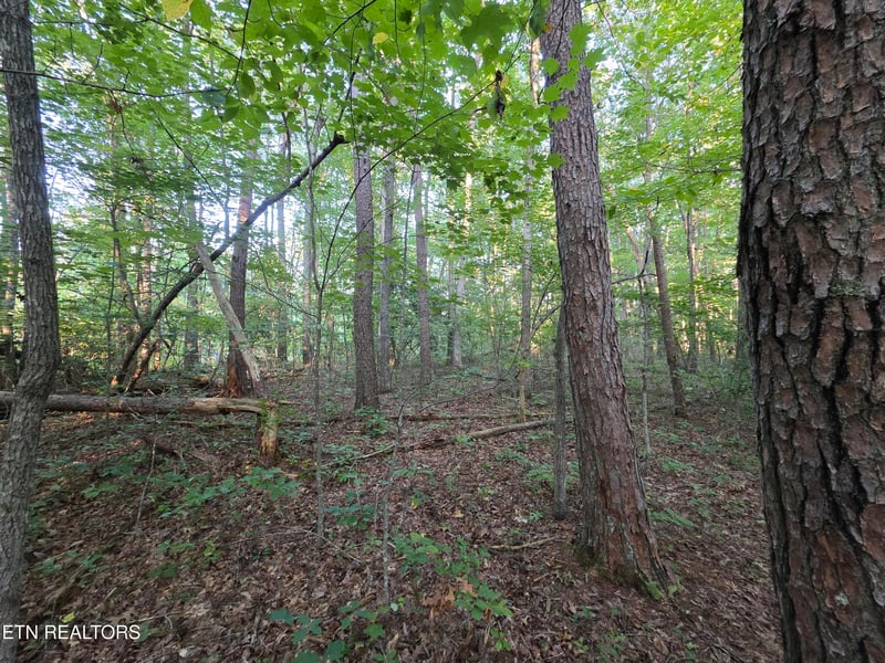 15 Austin Dr, Monterey, TN 38574