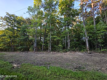 15 Austin Dr, Monterey, TN 38574