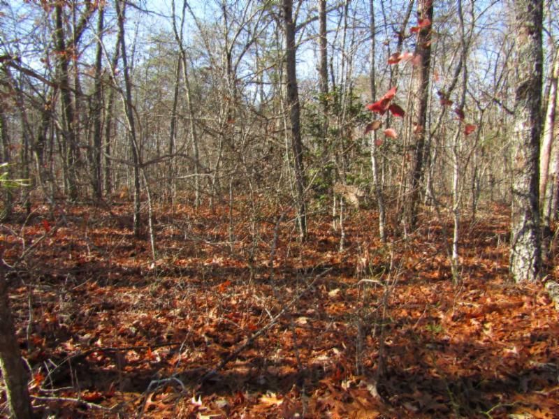 15 Mountain Ash Dr, Monterey, TN 38574
