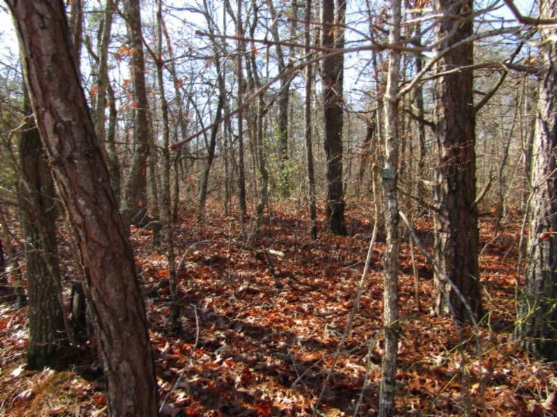 15 Mountain Ash Dr, Monterey, TN 38574