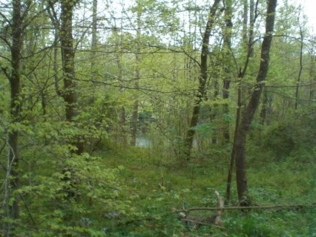 15 thru 19 Chambers Rd, Robbins, TN 37852
