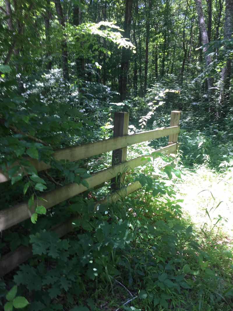15.77 County Road 36, Calhoun, TN 37309