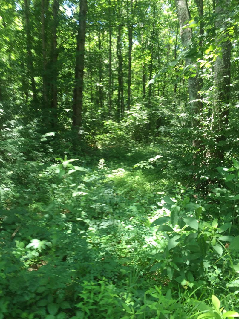 15.77 County Road 36, Calhoun, TN 37309
